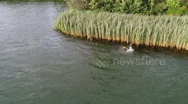 MAN WAKESKATES WITH A LAKEWEED RASTA LOOK!!