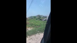 Escaped pony on railway tracks outruns oncoming train (part 1)