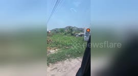 Newsflare Edit - Escaped pony on railway tracks outruns oncoming train (part 1)