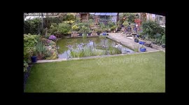 Sam's 2nd swim - Sam tries to catch a pigeon and fails.