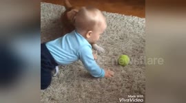 Too cute! Dog and baby play ball