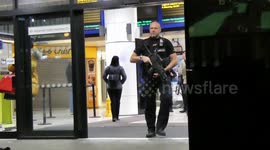 Armed Police arrest man at Watford station