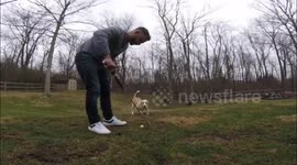 A golfer's best friend: US man trains dog to retrieve chip shots