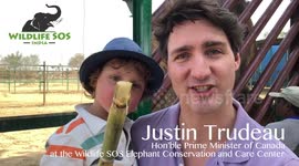 Canadian PM Justin Trudeau visits Indian wildlife sanctuary with family