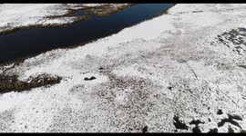 Snowy beaches and marshes