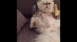 After a long day of work