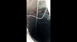 Russells Viper Snake Rescued from well using Hook in India