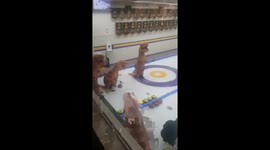 Just an average Friday night in Canada. https://t.co/0heOhFtdYR