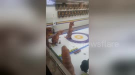 Newsflare Edit - Just an average Friday night in Canada. https://t.co/0heOhFtdYR