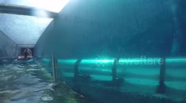 Water slide in Atlantis park - Bahamas
