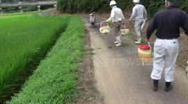 Radio Control Helicopter Crop Dusting