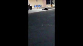 Funny and crazy guys fighting at waltmart