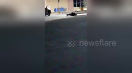Newsflare Edit - Funny and crazy guys fighting at waltmart