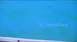 LIFE HACK:  Easily Clean Green Pool Walls!