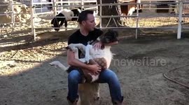 US man rocks baby miniature horse to sleep by singing county music to her