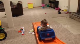 There’s been a terrible accident involving a one year old