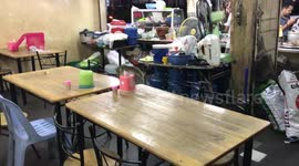 Little squirrel causing havoc at restaurant