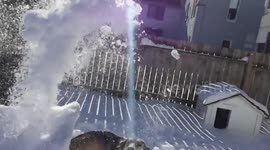 Puppy Snow Attack Mode Activated!