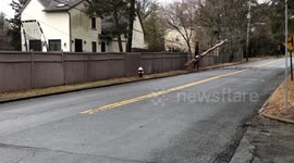 Con ed guarding broken power line pole
