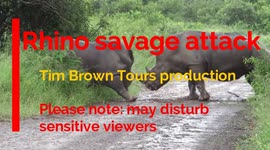 Savage Rhino attack with Tim Brown Tours