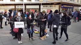 Cube Of Truth Bristol - Vegan Campaign