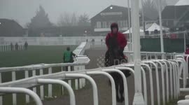 Early morning ride on the gallops at Cheltenham