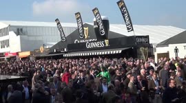 Punters enjoy a pint of Guinness at the races
