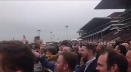 The Cheltenham Roar
