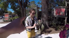 A day trip to the Palm Beach Zoo
