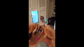 2 year old feeds his 3 big dogs