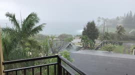 Rain (2)