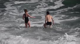 Brave couple plunges into icy Cornish seas as
