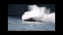 Predator Adventures Seabreacher Killer Whale high speed thrill ride in London's Docklands