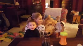 Mom tries to help dog relax