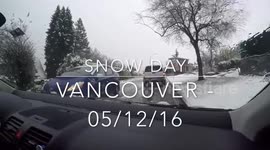 Vancouver snow day shuts down transit services