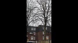 Snow in London