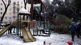 Roma, Testaccio, emergenza neve. Albero cade mentre bambini giocano
