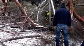 Tree buckles under weight of snow in Rome children's playground