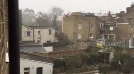 London Gardens chilled by swirling snow