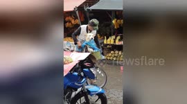 Pooch can't stand the rain! Japanese dog owner keeps pet dry with straw hat