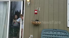 Head stuck in sliding door