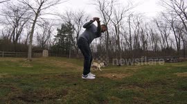A golfer's best friend: US man trains dog to retrieve chip shots