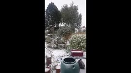 Beast from the East in Sussex