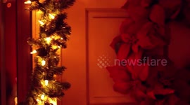 Christmas tree lights