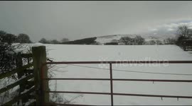 Beast from the east