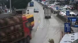 Truck loaded with pigs smashes into several parked vehicles