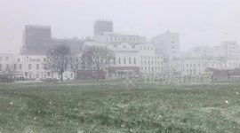 Snow in Carshalton, Surrey