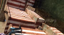 Monkeys 2 jumping into pond.Swimming under the pond and playing.