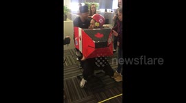 Newsflare Edit - Office Olympics- chair bobsled at work