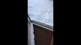 Norfolk Snow!